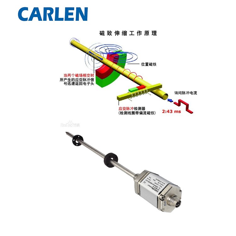 CARLEN傳感器